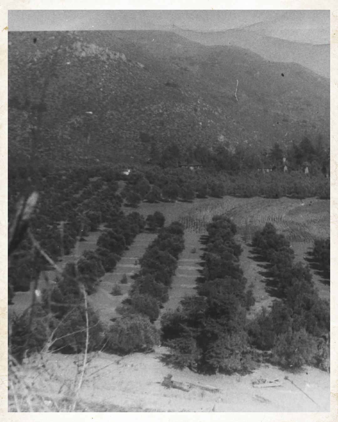 Dehesa Valley - 1940's