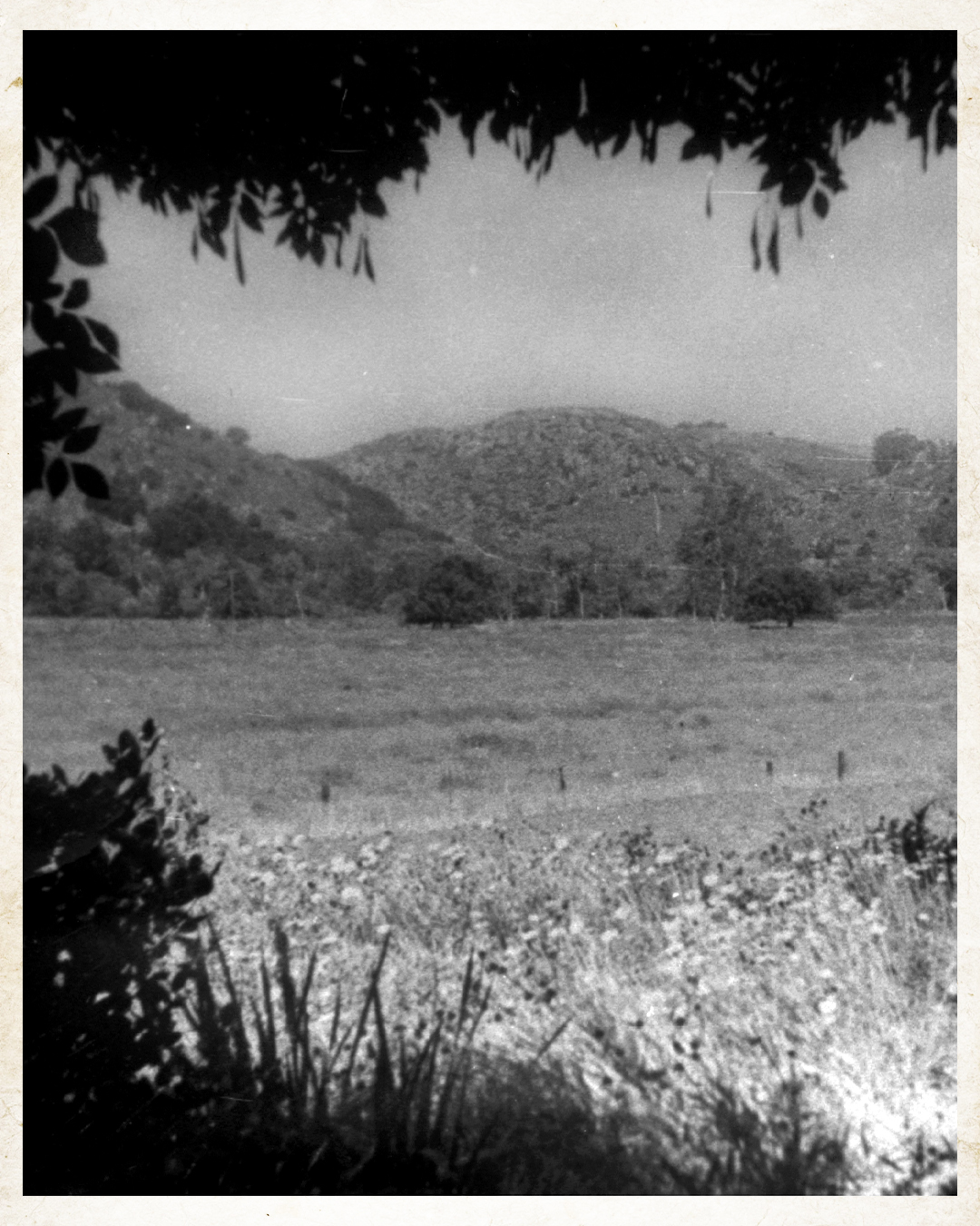 Dehesa Valley - 1940/50's
